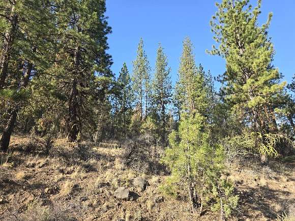 2.89 Acres of Residential Land for Sale in Beatty, Oregon