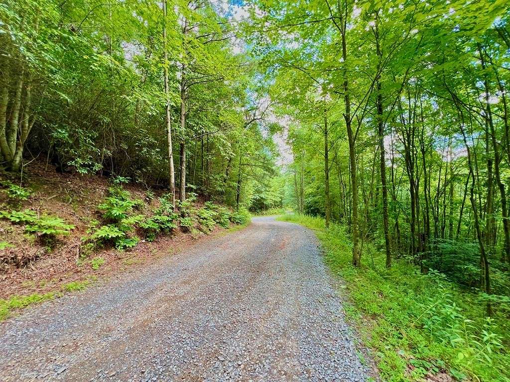 13.51 Acres of Land for Sale in Ellijay, Georgia