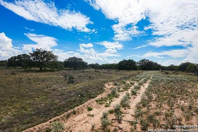 20 Acres of Land for Sale in Devine, Texas