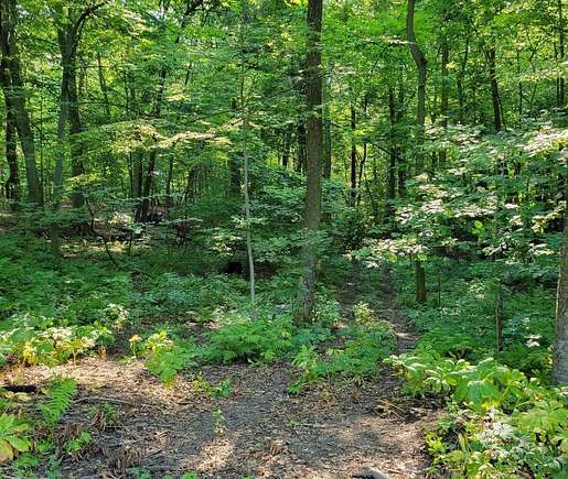 10.18 Acres of Land for Sale in Delton, Michigan