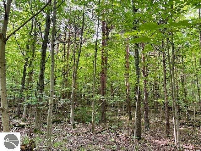 10 Acres of Residential Land for Sale in Honor, Michigan