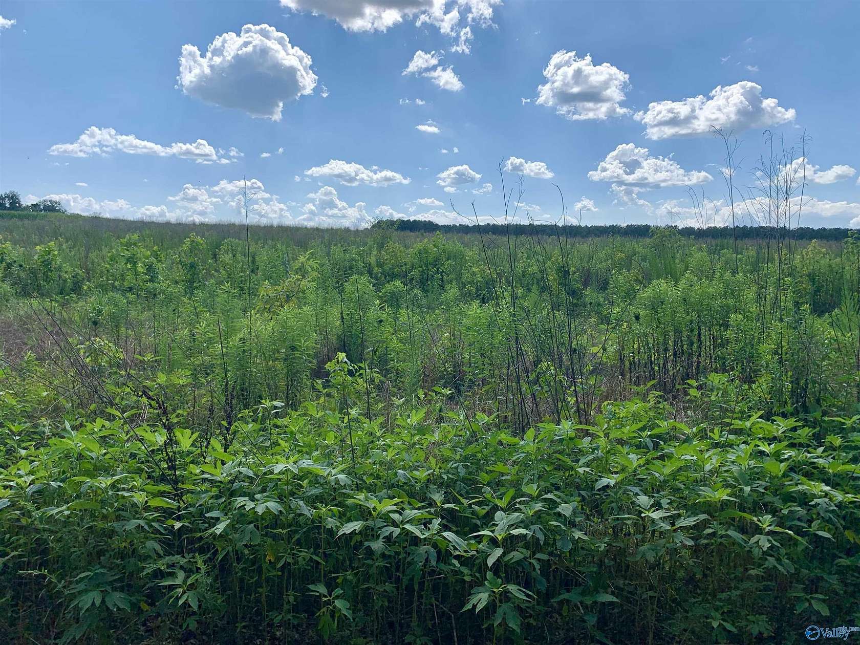 2 Acres of Land for Sale in Fort Payne, Alabama