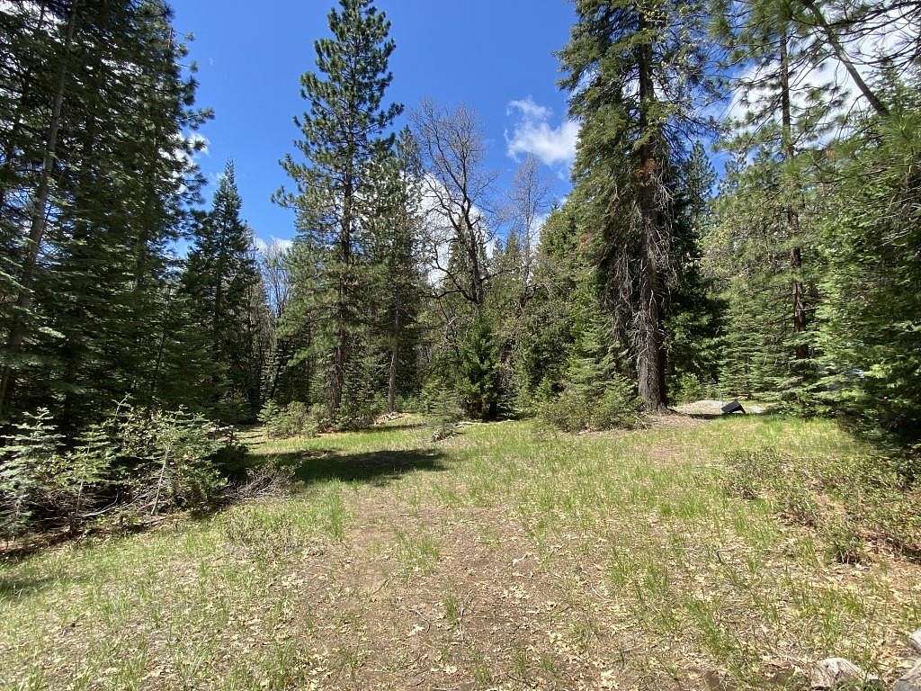 2.64 Acres of Land for Sale in McCloud, California