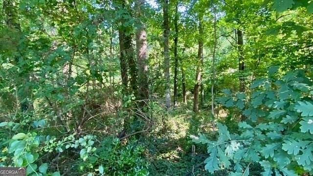 1.8 Acres of Residential Land for Sale in Lithonia, Georgia