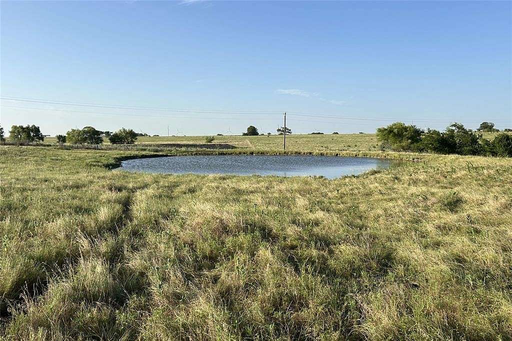12.5 Acres of Land for Sale in Muenster, Texas