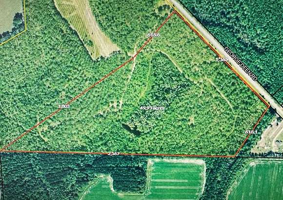 48 Acres of Land for Sale in West Green, Georgia