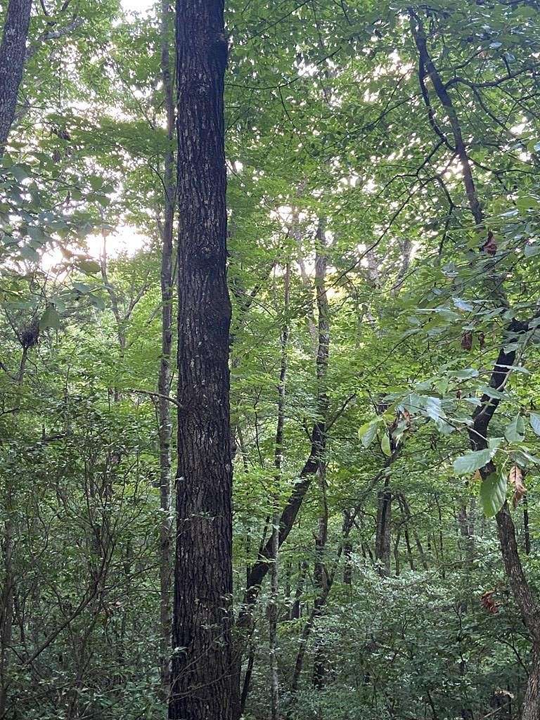 1.11 Acres of Residential Land for Sale in Ellijay, Georgia