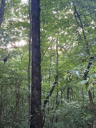 1.11 Acres of Residential Land for Sale in Ellijay, Georgia