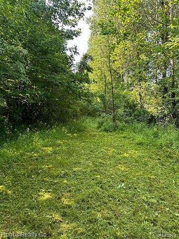 17.54 Acres of Land for Sale in Millington, Michigan