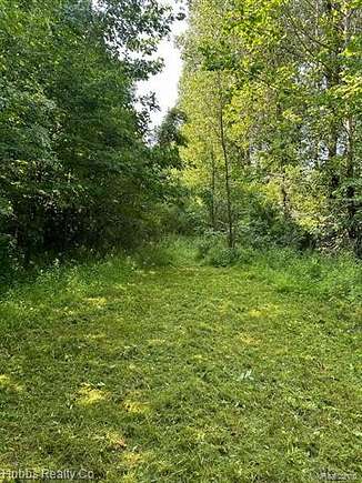 17.54 Acres of Land for Sale in Millington, Michigan