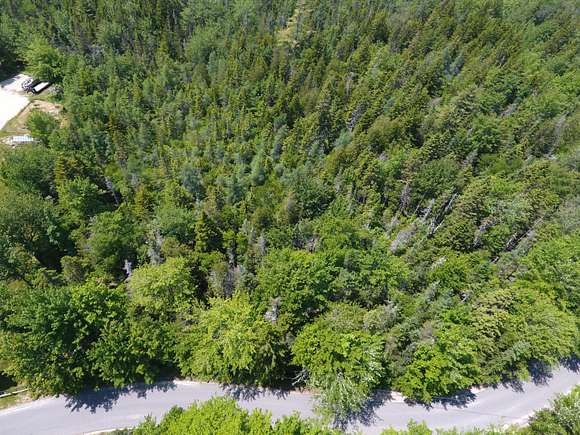 12.9 Acres of Land for Sale in Gouldsboro, Maine