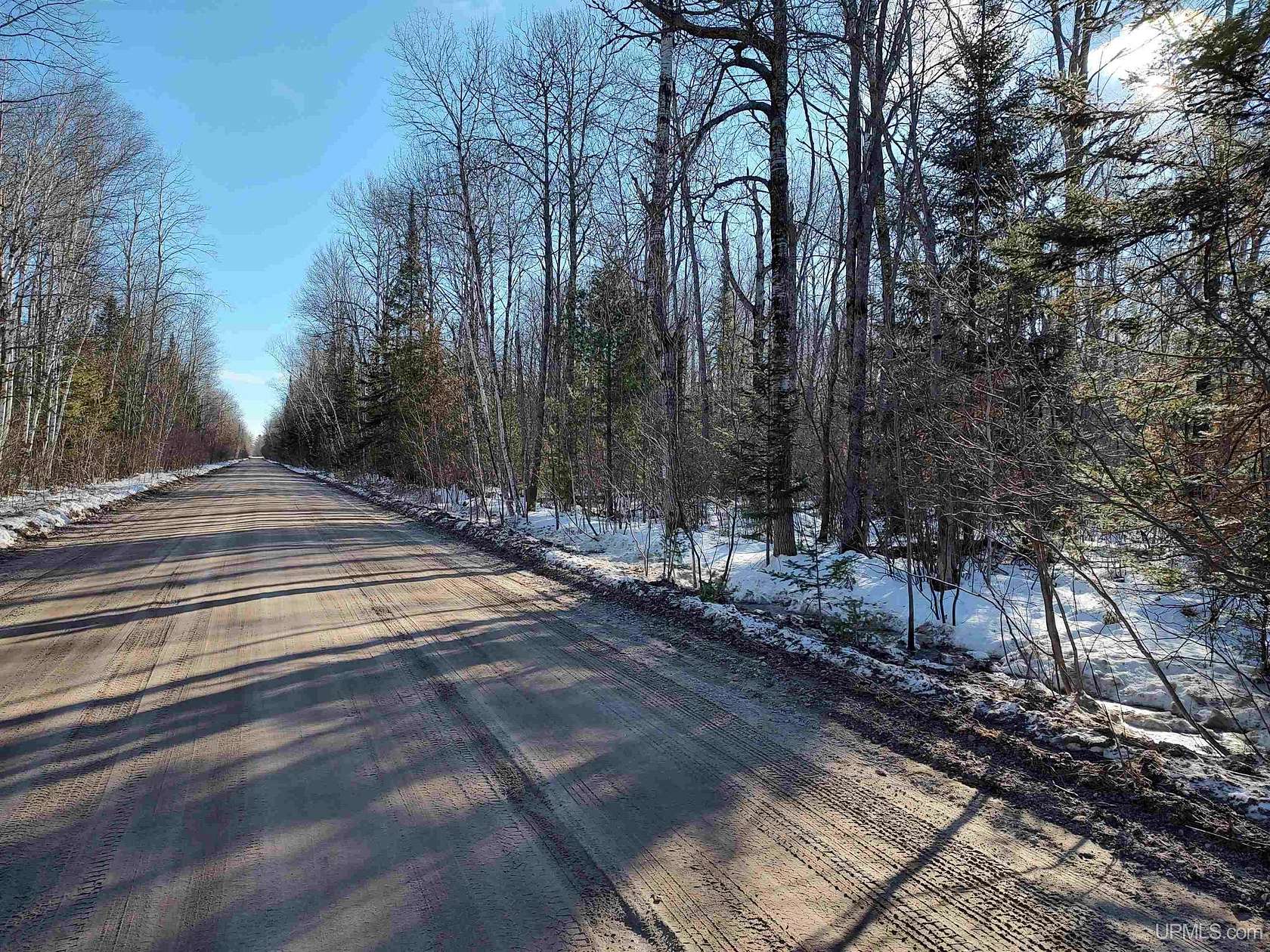 20 Acres of Recreational Land for Sale in Brutus, Michigan