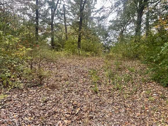 0.16 Acres of Residential Land for Sale in Lupton City, Tennessee