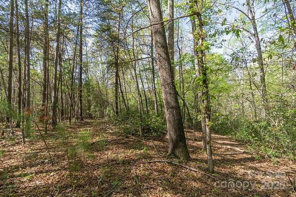 3.39 Acres of Residential Land for Sale in Lake Lure, North Carolina