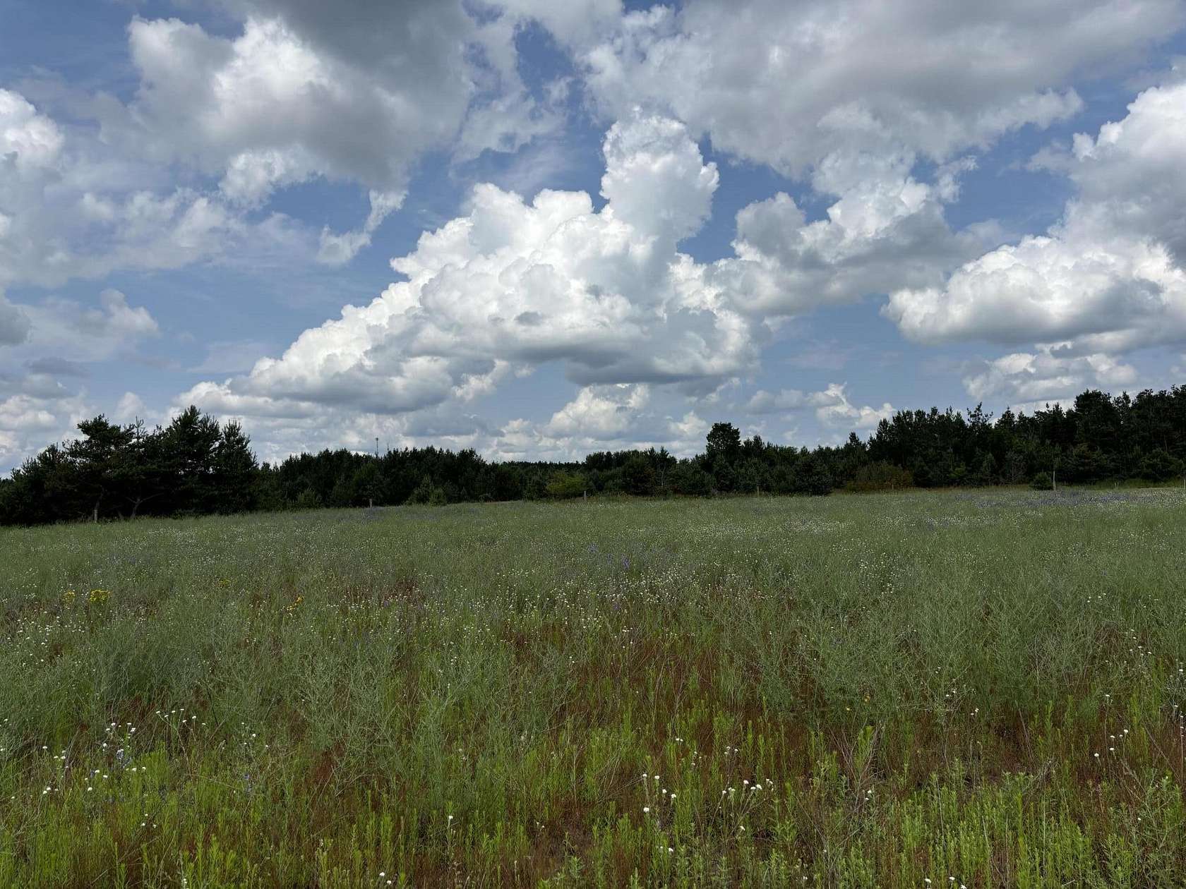 Residential Land for Sale in Gaylord, Michigan