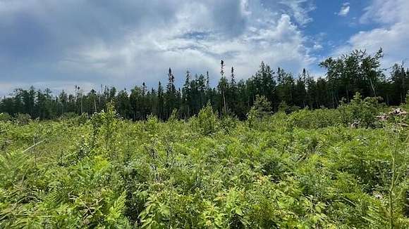 40 Acres of Recreational Land for Sale in Ocqueoc, Michigan