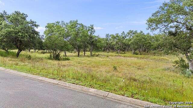 1.01 Acres of Residential Land for Sale in Spring Branch, Texas