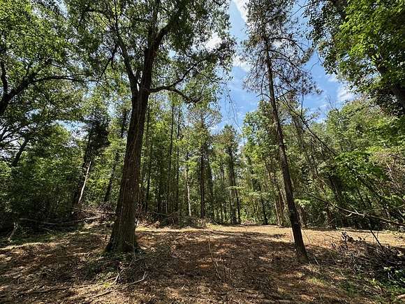 18.08 Acres of Land for Sale in Canton, Mississippi