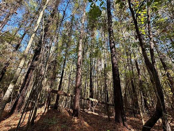 91.73 Acres of Recreational Land for Sale in Canton, Mississippi