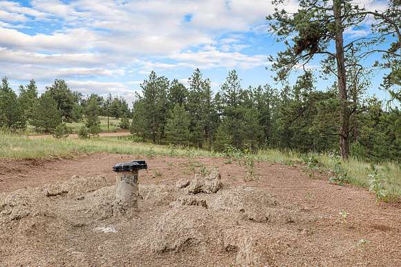 2.3 Acres of Residential Land for Sale in Florissant, Colorado