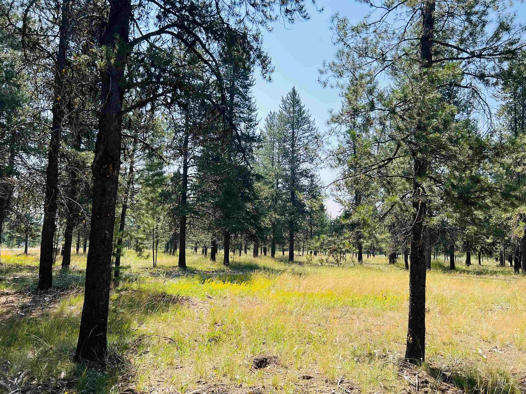 1.04 Acres of Residential Land for Sale in McCall, Idaho