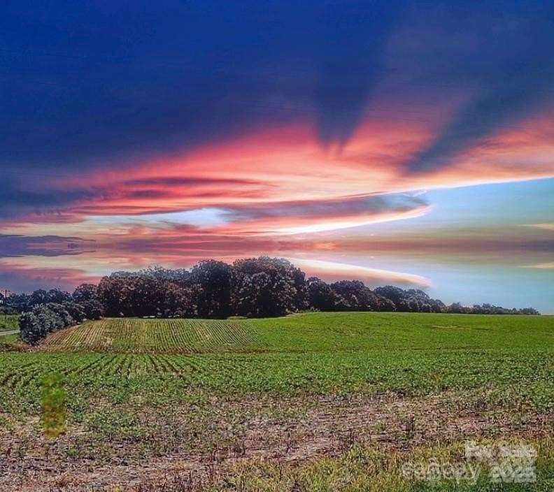 49.5 Acres of Recreational Land for Sale in Peachland, North Carolina