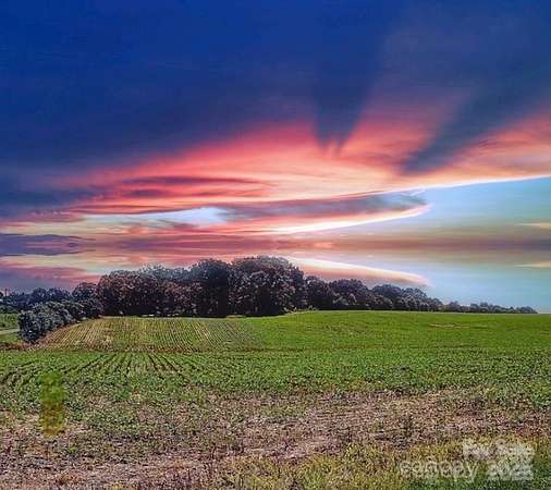 49.5 Acres of Recreational Land for Sale in Peachland, North Carolina