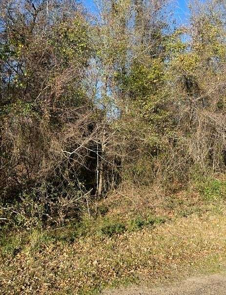 0.163 Acres of Residential Land for Sale in Trinidad, Texas