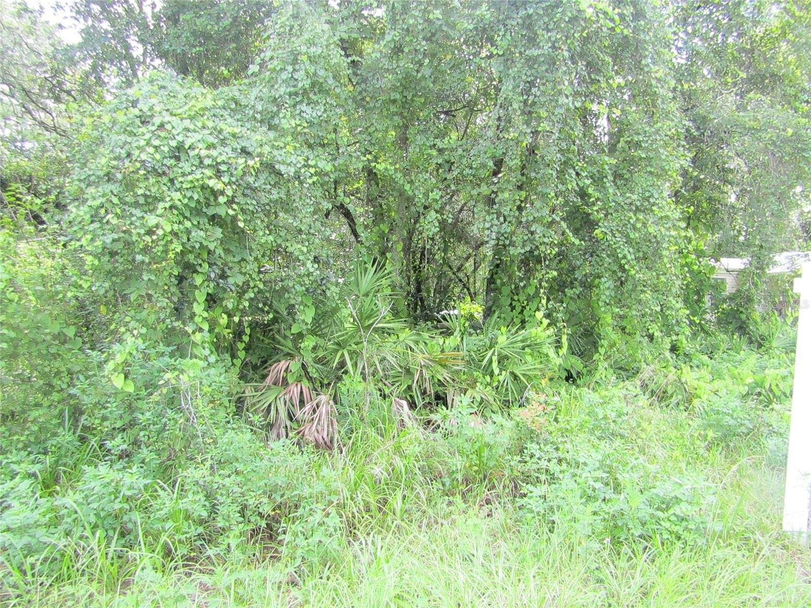 0.09 Acres of Residential Land for Sale in New Port Richey, Florida