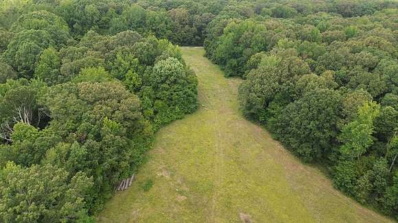 60.2 Acres of Land for Sale in Courtland, Mississippi