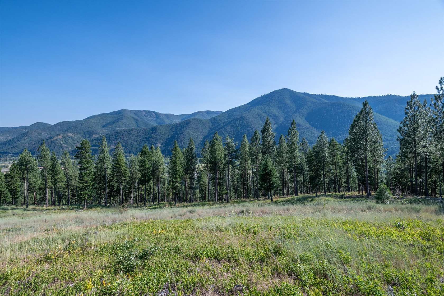 31.11 Acres of Recreational Land for Sale in Missoula, Montana