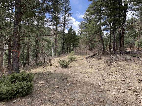 17.09 Acres of Agricultural Land for Sale in Angel Fire, New Mexico