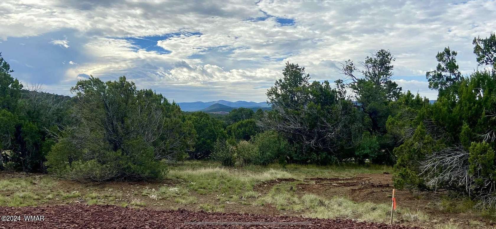 12.01 Acres of Land for Sale in Concho, Arizona