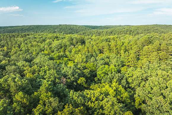 20.06 Acres of Recreational Land for Sale in Roby, Missouri