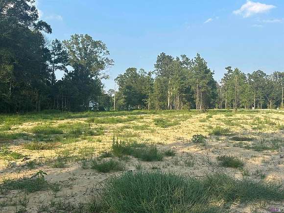 1.37 Acres of Residential Land for Sale in Livingston, Louisiana