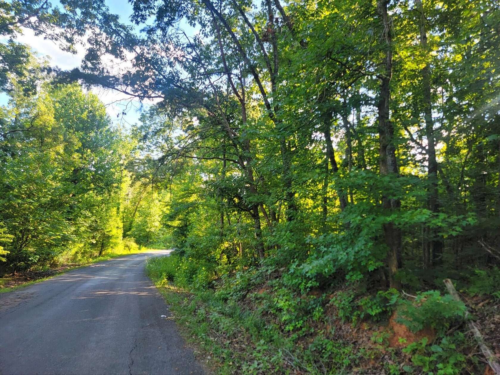 5.25 Acres of Residential Land for Sale in Spring City, Tennessee