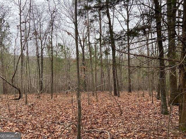 156.71 Acres of Recreational Land for Sale in Cedartown, Georgia