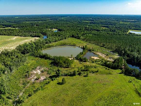 60 Acres of Agricultural Land for Sale in Vidalia, Georgia