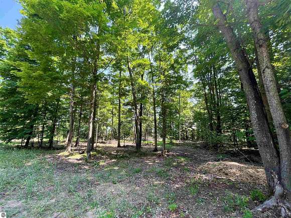 0.44 Acres of Residential Land for Sale in Bellaire, Michigan