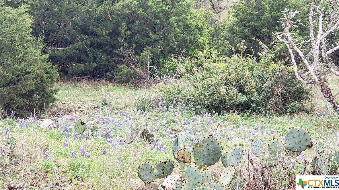 5 Acres of Improved Residential Land for Sale in San Marcos, Texas