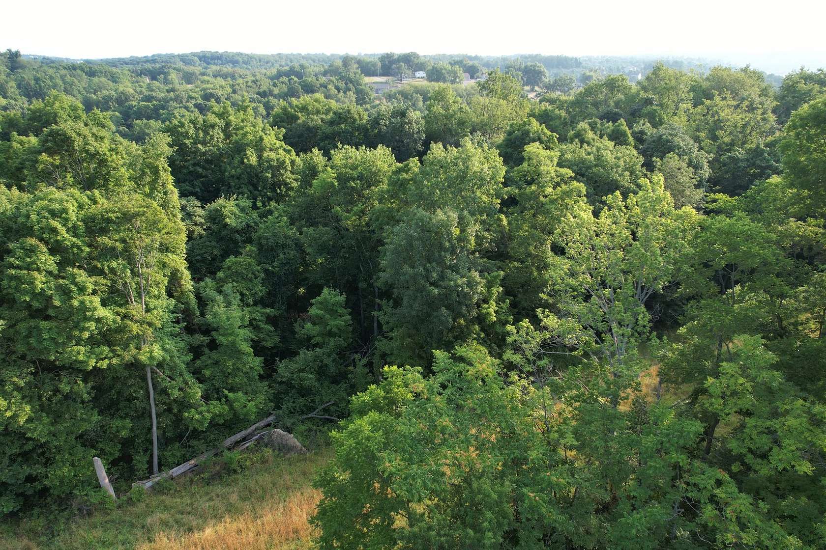 30 Acres of Recreational Land for Sale in Lawrence, Pennsylvania