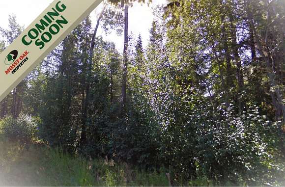 1.45 Acres of Residential Land for Sale in Sterling, Alaska