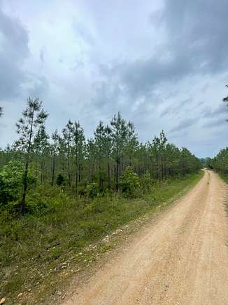 76.67 Acres of Recreational Land for Sale in Malvern, Arkansas