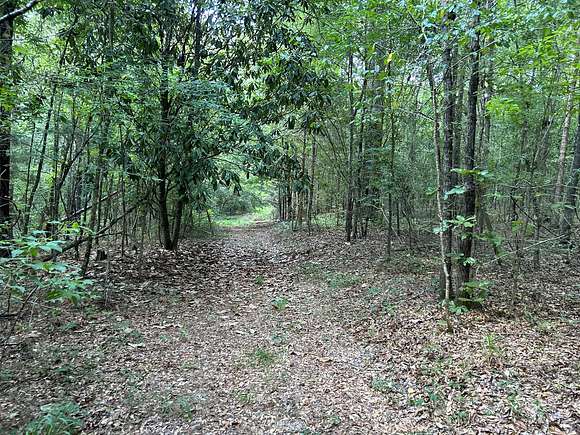 80 Acres of Recreational Land & Farm for Sale in Rutledge, Alabama