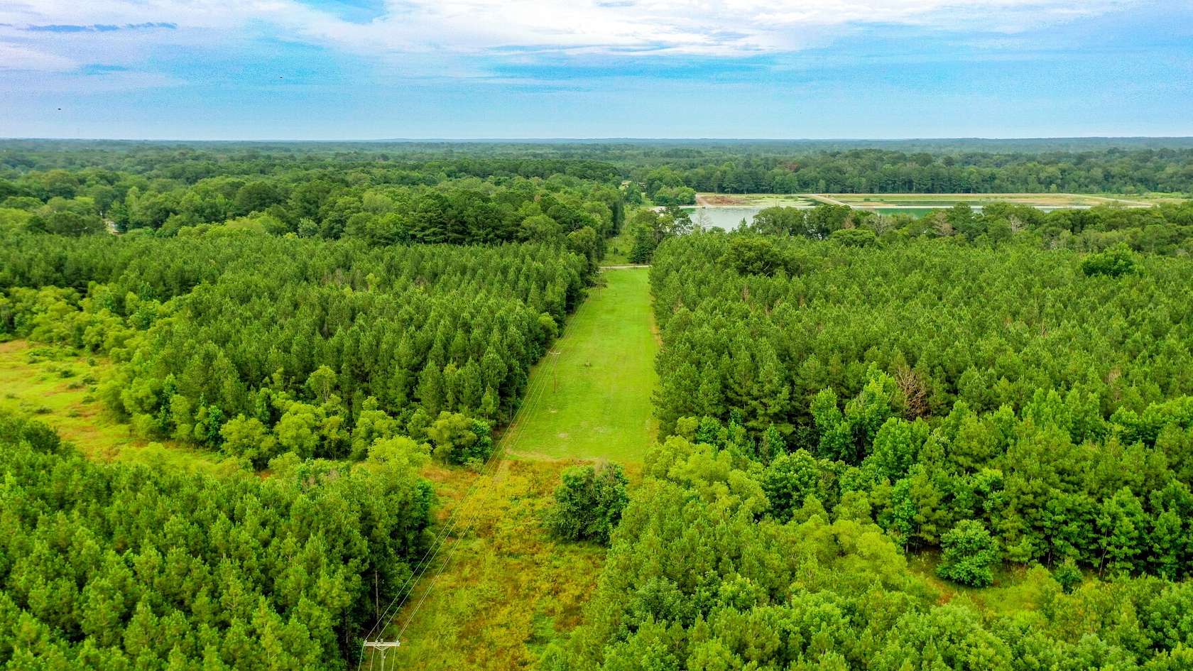 57.5 Acres of Land for Sale in Carthage, Mississippi