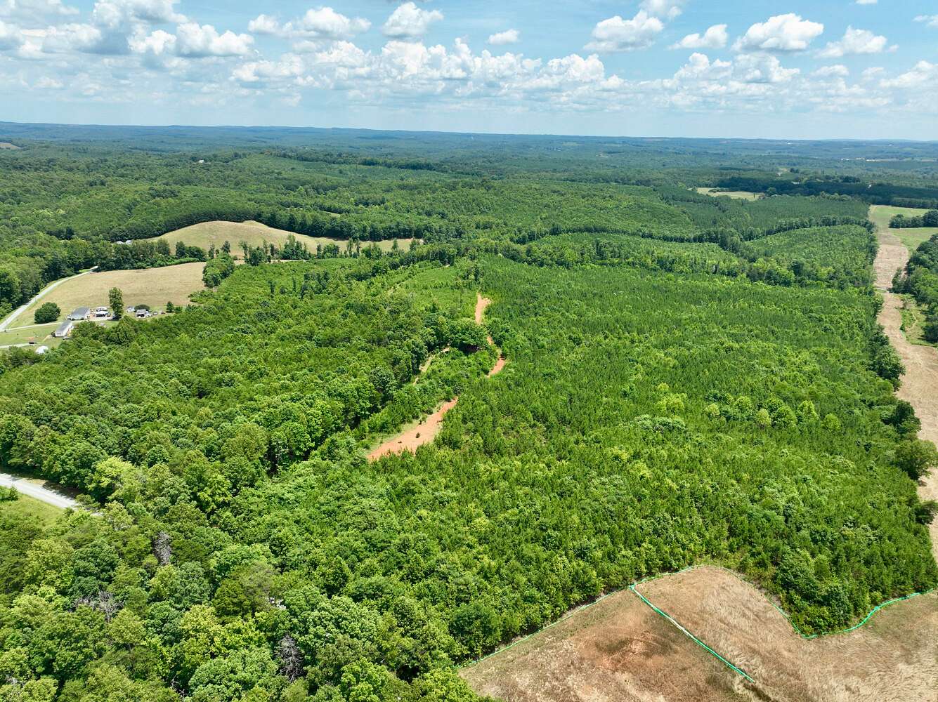 81.48 Acres of Land for Sale in Sandy Level, Virginia