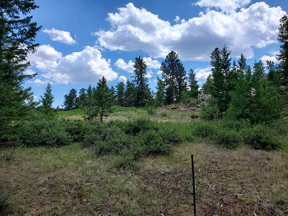 0.24 Acres of Residential Land for Sale in Red Feather Lakes, Colorado