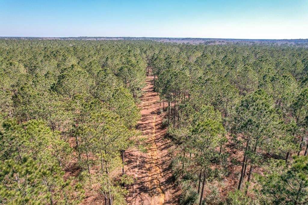 625 Acres of Recreational Land & Farm for Sale in Magnolia, Mississippi