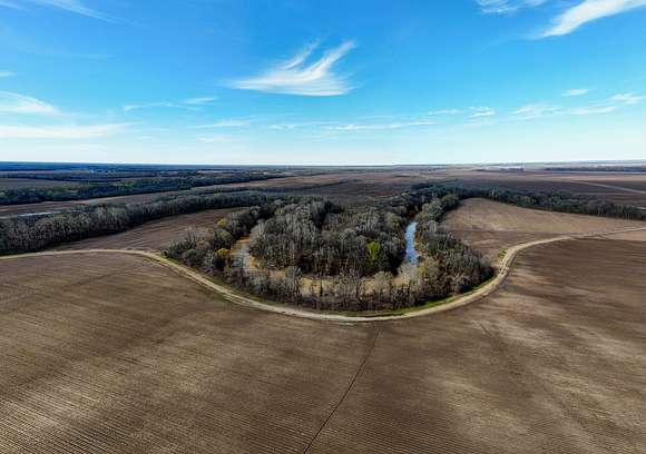 93 Acres of Recreational Land & Farm for Sale in Oak Grove, Louisiana