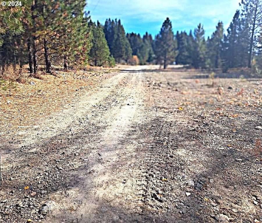 0.59 Acres of Residential Land for Sale in Sumpter, Oregon